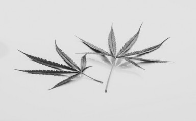 Детоксикация от наркотиков в Белой Холунице